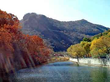 澳门天天免费精准大全，都市邪神txt全集